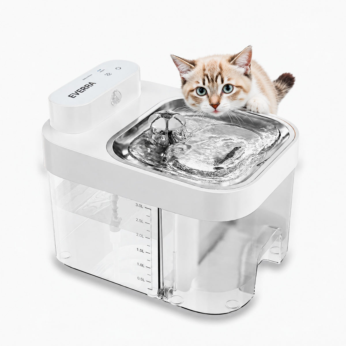 Cat Water Fountain Clean Water, No Filters to Replace