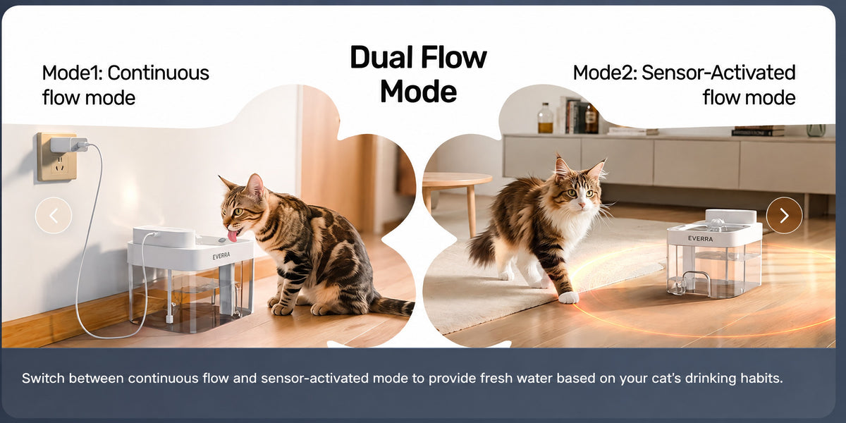 Dual Flow Modes