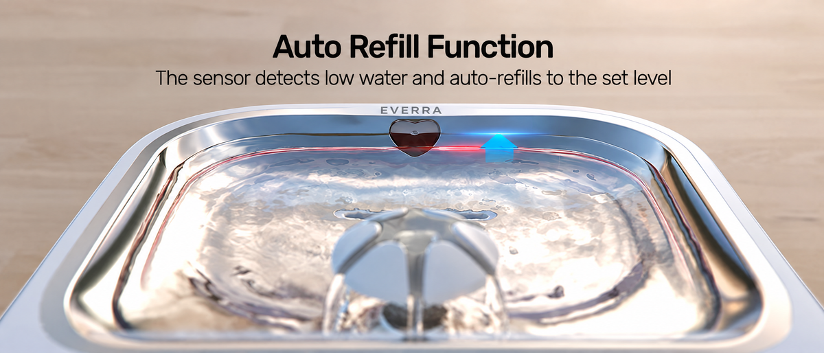 Auto Water Refill